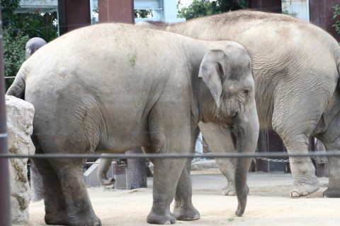 2014/10月 TAMRONsp70-300+30D 焦点距離124mm F/5.6 ss1/160 ISO320