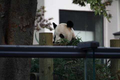 2014/10月 TAMRONsp70-300+30D 焦点距離300mm F/5.6 ss1/125 ISO320