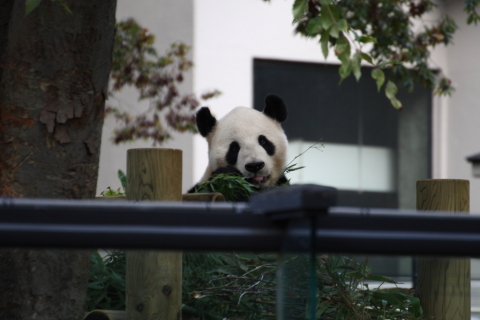 2014/10月 TAMRONsp70-300+30D 焦点距離300mm F/5.6 ss1/100 ISO250