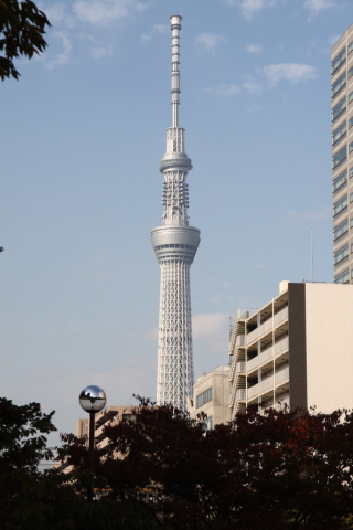 2014/10月 SIGMA17-70+30D 焦点距離63mm F/8 ss1/320 ISO100