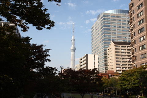 2014/10月 SIGMA17-70+30D 焦点距離28mm F/8 ss1/250 ISO100