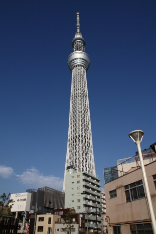 2014/10月 SIGMA17-70+30D 焦点距離17mm F/8 ss1/500 ISO100