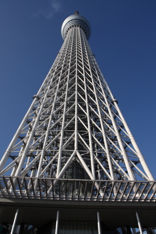 2014/10月 SIGMA17-70+30D 焦点距離17mm F/8 ss1/320 ISO100