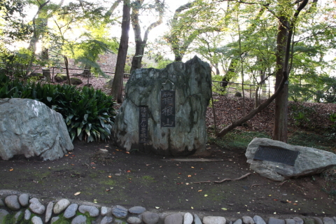 2014/11月 SIGMA17-70+30D 焦点距離17mm F/8 ss1/13 ISO400