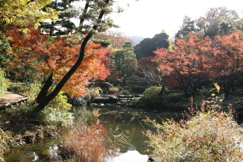 2014/11月 SIGMA17-70+30D 焦点距離23mm F/7.1 ss1/100 ISO100 