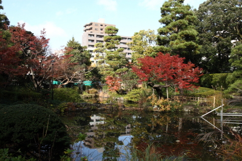 2014/11月 SIGMA17-70+30D 焦点距離21mm F/6.3 ss1/160 ISO100
