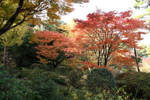 2014/11月 SIGMA17-70+30D 焦点距離17mm F/5.6 ss1/30 ISO100