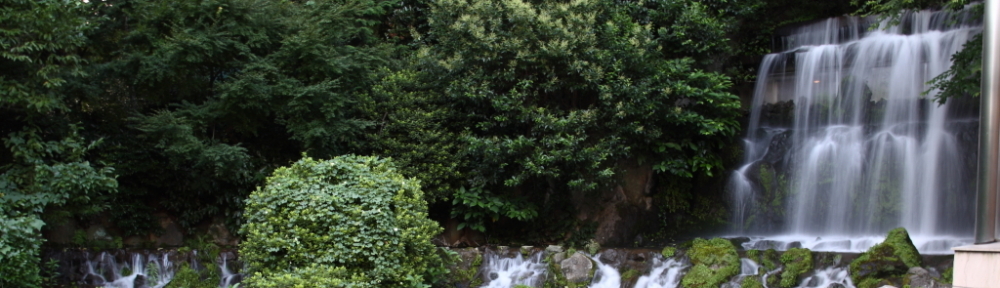 にわかカメラマンの撮ってみた!!（N'sHOME別館）