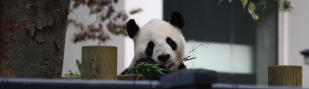 にわかカメラマンの撮ってみた!!（N'sHOME別館）