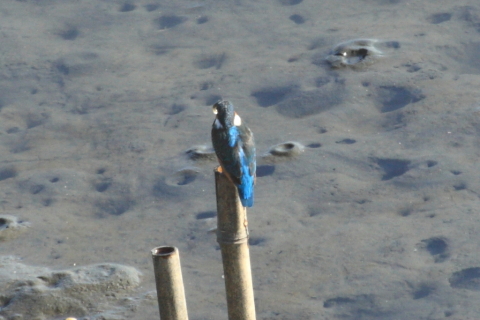 2014/12月 TAMRONsp70-300+30D 焦点距離300mm F/11 ss1/200 ISO400