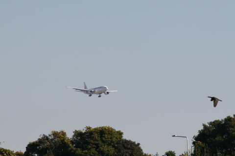 2014/12月 TAMRONsp70-300+30D 焦点距離300mm F/9 ss1/250 ISO320