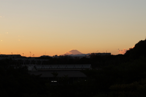 2014/12月 TAMRONsp70-300+30D 焦点距離70mm F/7.1 ss1/200 ISO200