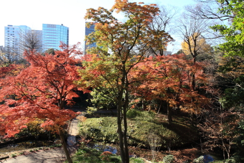 2014/12月 SIGMA17-70+30D 焦点距離17mm F/5.6 ss1/125 ISO100
