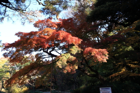 2014/12月 SIGMA17-70+30D 焦点距離21mm F/6.3 ss1/50 ISO100