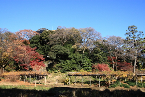 2014/12月 SIGMA17-70+30D 焦点距離21mm F/6.3 ss1/250 ISO100