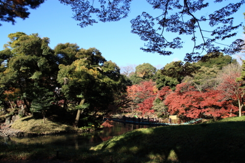 2014/12月 SIGMA17-70+30D 焦点距離17mm F/6.3 ss1/160 ISO100