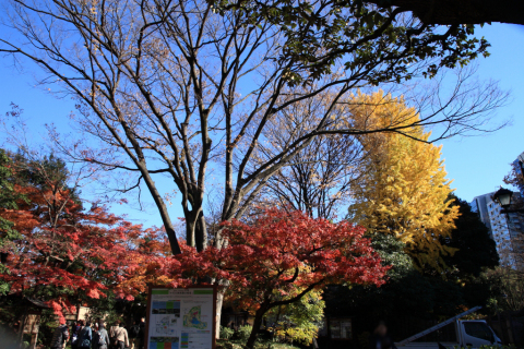 2014/12月 SIGMA17-70+30D 焦点距離17mm F/7.1 ss1/160 ISO100