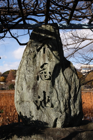 2014/12月 SIGMA17-70+30D 焦点距離31mm F/8 ss1/250 ISO100