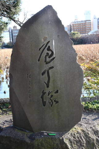 2014/12月 SIGMA17-70+30D 焦点距離34mm F/6.3 ss1/50 ISO100