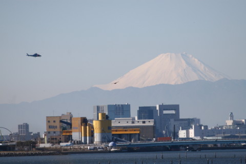 2014/12月 TAMRONsp70-300+30D 焦点距離300mm F/6.3 ss1/1600 ISO200