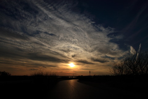 2014/12月 SIGMA17-70+30D 焦点距離17mm F/8 ss1/1250 ISO100