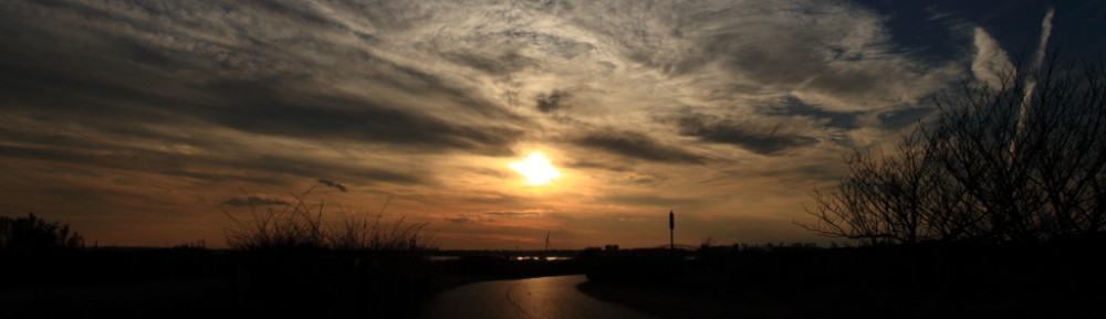 にわかカメラマンの撮ってみた!!（N'sHOME別館）