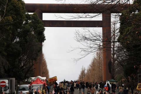 2015/1月 SIGMA17-70+30D 焦点距離70mm F/6.3 ss1/250 ISO100