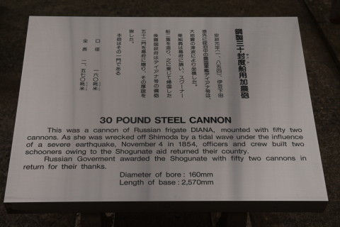 2015/1月 SIGMA17-70+30D 焦点距離45mm F/6.3 ss1/160 ISO100