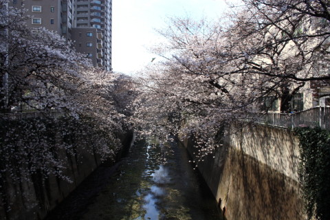 2014/3月 EF-S18-55ⅡUSM+30D 焦点距離18mm F/7.1 ss1/200 ISO100