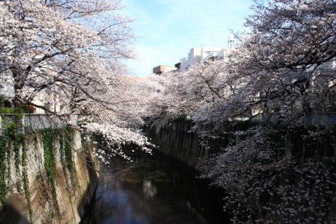 2014/3月 EF-S18-55ⅡUSM+30D 焦点距離18mm F/7.1 ss1/200 ISO100