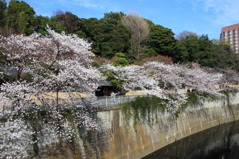 2014/3月 EF-S18-55ⅡUSM+30D 焦点距離18mm F/7.1 ss1/320 ISO100