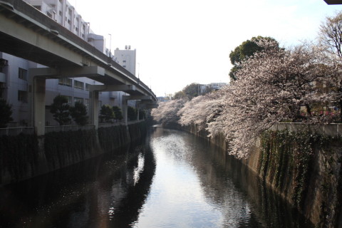 2014/3月 EF-S18-55ⅡUSM+30D 焦点距離18mm F/7.1 ss1/250 ISO100
