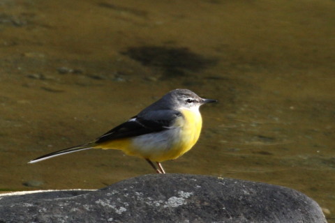トリミング 2015/2月 TAMRONsp70-300+30D 焦点距離300mm F/8 ss1/250 ISO400