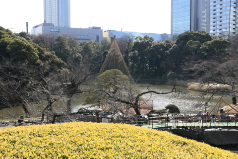 2015/2月 SIGMA17-70+30D 焦点距離28mm F/5.6 ss1/250 ISO100