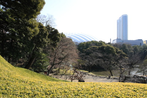 2015/2月 SIGMA17-70+30D 焦点距離17mm F/5.6 ss1/250 ISO100