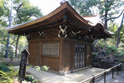 2015/2月 SIGMA17-70+30D 焦点距離17mm F/5.6 ss1/13 ISO100