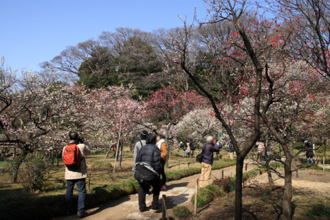 2015/2月 SIGMA17-70+30D 焦点距離17mm F/6.3 ss1/320 ISO100