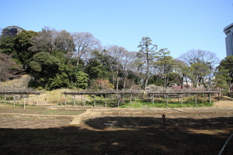2015/2月 SIGMA17-70+30D 焦点距離17mm F/3.5 ss1/800 ISO100