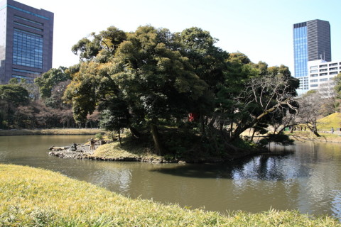 2015/2月 SIGMA17-70+30D 焦点距離17mm F/4 ss1/320 ISO100