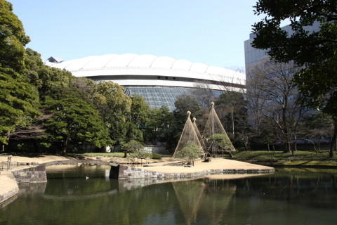 2015/2月 SIGMA17-70+30D 焦点距離17mm F/5.6 ss1/250 ISO100