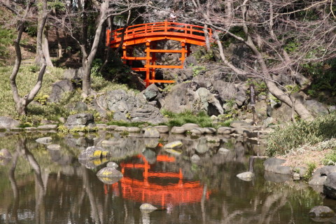 2015/2月 SIGMA17-70+30D 焦点距離58mm F/5.6 ss1/250 ISO100