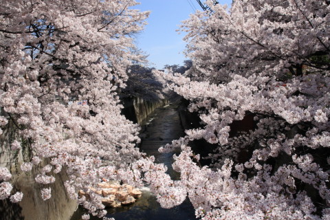 2015/3月 SIGMA17-70+30D 焦点距離17mm F/11 ss1/640 ISO400