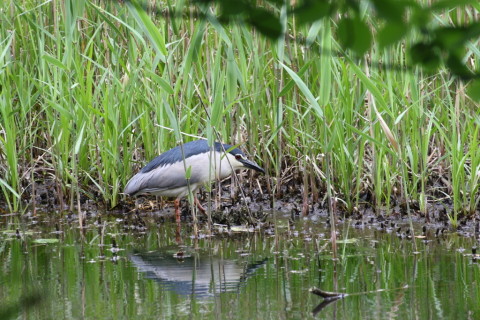 2015/4月 TAMRONsp70-300+30D 焦点距離300mm F/8 ss1/60 ISO200