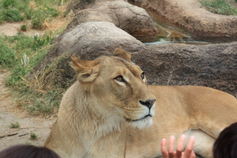 2015/5月 SIGMA17-70+7D2 焦点距離49mm F/6.3 ss1/160 ISO100