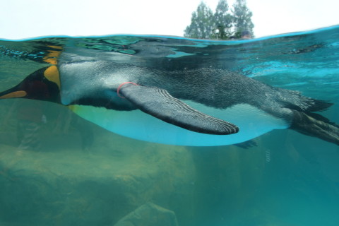 2015/5月 SIGMA17-70+7D2 焦点距離21mm F/7.1 ss1/200 ISO100