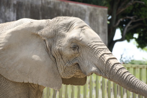 2015/5月 TAMRONsp70-300+7D2 焦点距離191mm F/5 ss1/250 ISO125