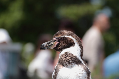 2015/5月 TAMRONsp70-300+7D2 焦点距離175mm F/5 ss1/320 ISO100