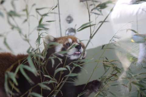 2015/5月 SIGMA17-70+7D2 焦点距離70mm F/4 ss1/100 ISO200