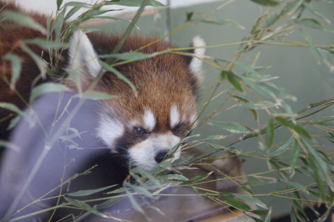 2015/5月 SIGMA17-70+7D2 焦点距離70mm F/4 ss1/100 ISO320