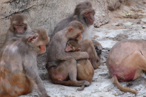 2015/5月 TAMRONsp70-300+7D2 焦点距離300mm F/5.6 ss1/400 ISO640